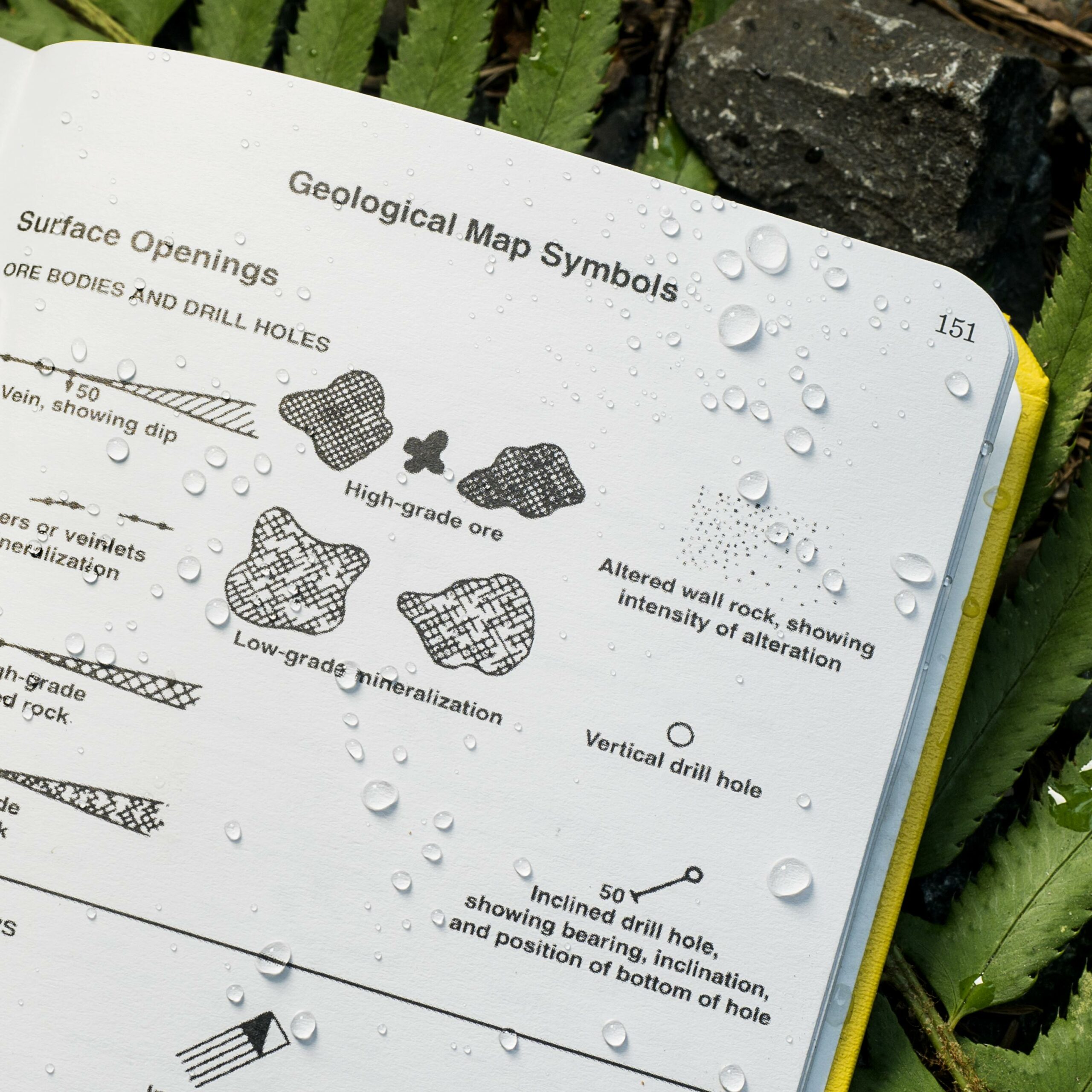 Carnet Géologique Rite in the Rain – Image 2